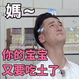 吃瓜表情配字,揭秘娱乐圈幕后真相