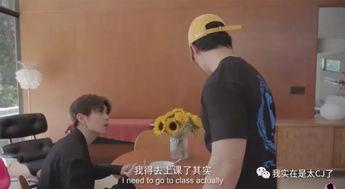 吃瓜的视频vlog,一场视觉与味蕾的双重盛宴