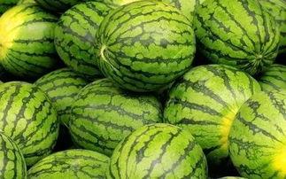 细长西瓜特效吃瓜,夏日消暑新潮流