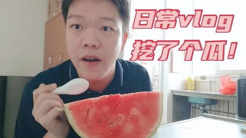 vlog 吃瓜,一场视觉盛宴与社交狂欢