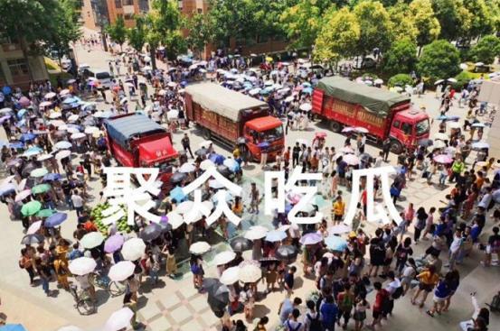 吃瓜大学围栏,揭秘校园围栏背后的故事与争议