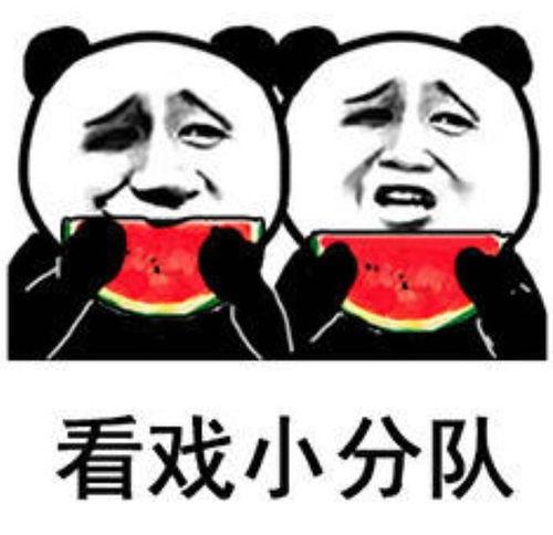 女孩吃瓜表情包,女孩吃瓜表情包背后的欢乐时光