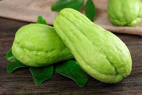 吃汾阳瓜,探寻乡村田园风情