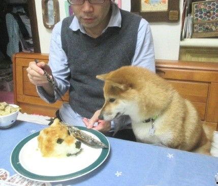 无耳狗头吃瓜,揭秘娱乐圈的“瓜田”奇闻