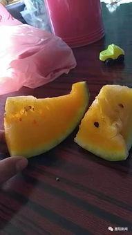 扫码吃瓜,轻松吃瓜新体验