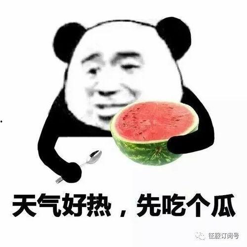 闰土也吃瓜,一场乡村与自然的味蕾盛宴