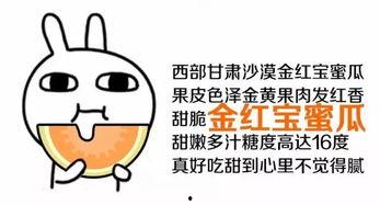吃瓜群众该怎么回,网络围观背后的心理与社会现象