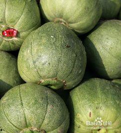 空腹可以吃瓜么,健康还是禁忌？揭秘真相