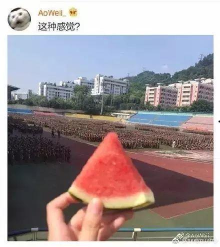 学长吃瓜被追,被粉丝追星成网红