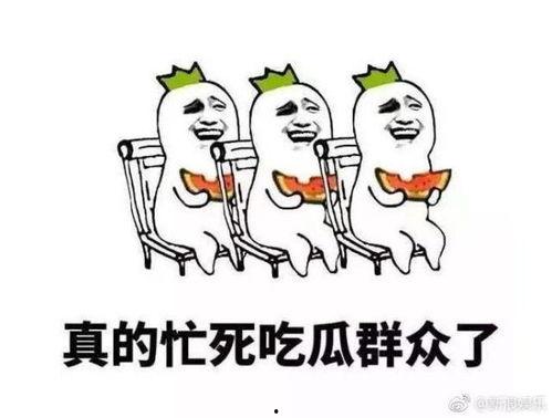 吃瓜群众太忙,揭秘忙碌生活中的娱乐现象