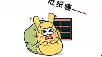 2016吃瓜群众,吃瓜群众的狂欢盛宴