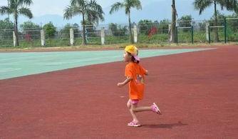 飞盘援吃瓜群,揭秘网络社交新潮流