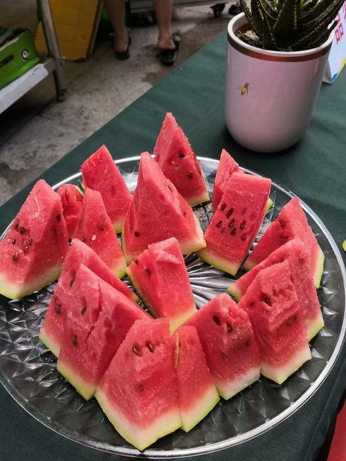 宁夏迈阿密吃瓜事件,一场网络狂欢背后的真相与反思