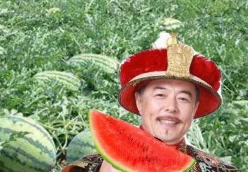 乾隆路边吃瓜说瓜很甜,揭秘古时皇家对瓜甜的极致追求
