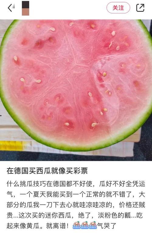 环球网吃瓜,揭秘娱乐圈最新“吃瓜”事件，真相令人咋舌！