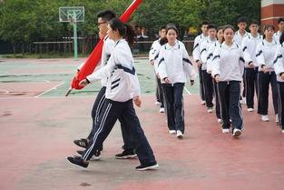 吃瓜队列,吃瓜队列现象深度解析