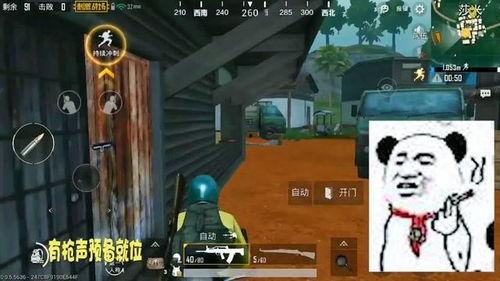 战地吃瓜,吃瓜群众视角下的军事冲突