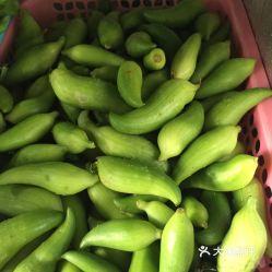 图图吃角瓜,一场味蕾与视觉的盛宴