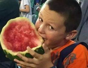 吃瓜国外奇葩设计,盘点那些令人瞠目结舌的国外奇葩设计