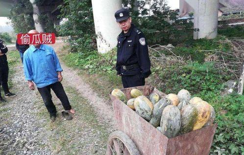 盐山最新吃瓜事件新闻,真相揭秘引网友热议