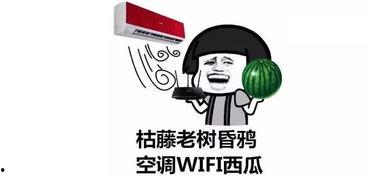 吃瓜自己也成了瓜,从吃瓜群众到瓜中人的奇妙转变