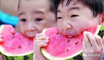 身边有瓜吃吗,共享丰收喜悦