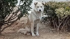 猫吃贝贝瓜吗,揭秘猫对贝贝瓜的喜爱之谜