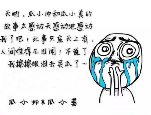 聪律吃瓜,揭秘娱乐圈幕后故事