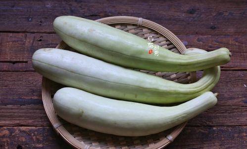 海角邻居吃瓜,揭秘邻国生活点滴