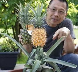 工资花不完吃瓜,吃瓜群众的生活哲学