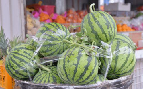 瓜坏了吃后吐,揭秘食物中毒的警示与预防