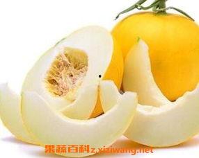 伊丽莎白瓜如何吃,伊丽莎白瓜的多样食用指南