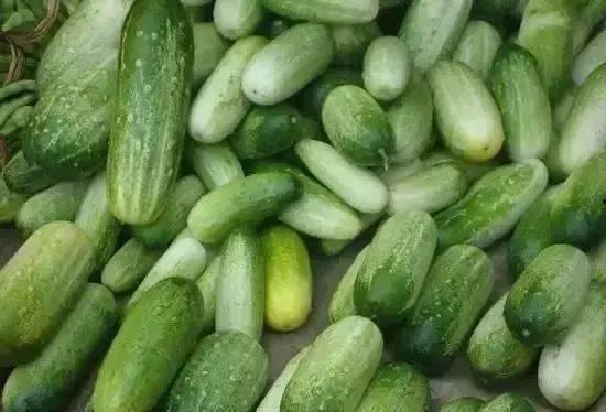 云南吊瓜怎么吃,解锁美味新体验