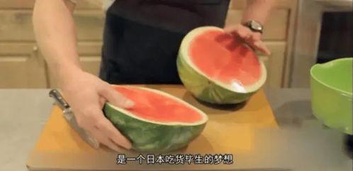 100种职业吃瓜,揭秘100种职业背后的“吃瓜”故事