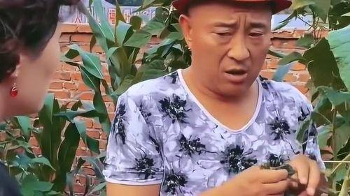 吃瓜赵老四,揭秘娱乐圈背后的那些事儿