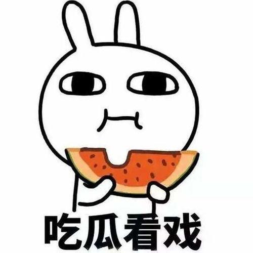 吃瓜别耽误看戏,聚焦精彩戏码