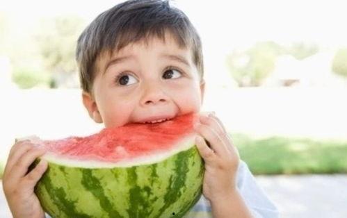 吃瓜总动员1,揭秘娱乐圈背后的秘密风云