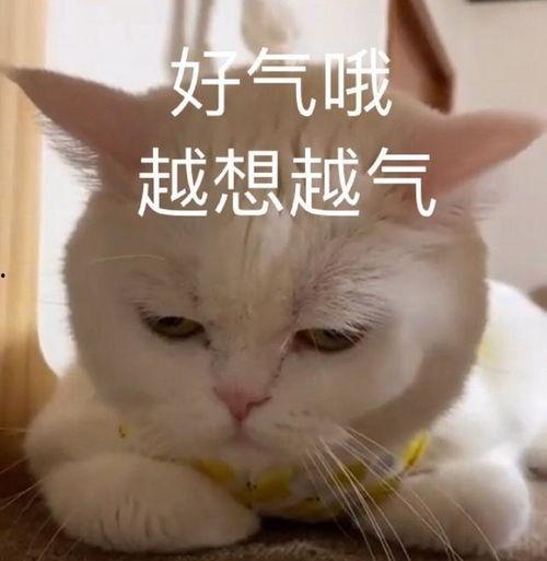 葫芦娃吃瓜故事,智斗妖魔守护家园