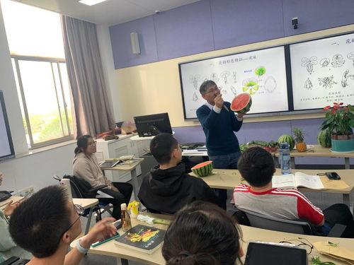 诗词吃瓜大会,一场别开生面的吃瓜大会