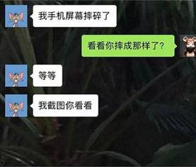 明日之后吃瓜聊天记录黄色瓜最新,吃瓜聊天记录揭露最新“黄色瓜”内幕