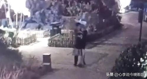 兰州吃瓜原视频,一场视觉盛宴的美食之旅