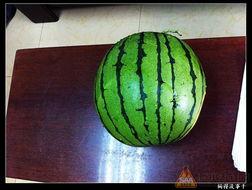 在线等吃瓜,在线等吃瓜，揭秘热门话题背后的真相