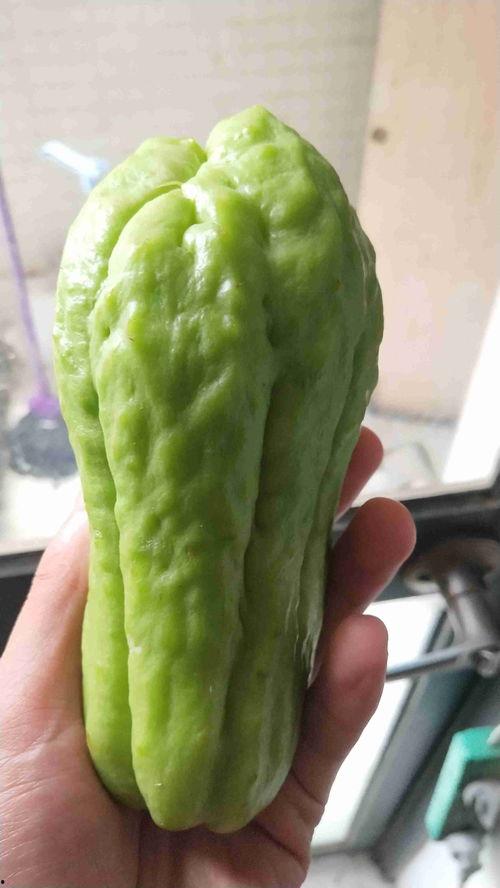 韩国用什么软件吃瓜,热门“吃瓜”软件盘点