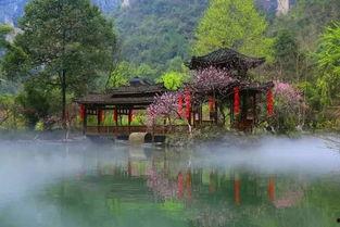 桃花源吃瓜QQ群,揭秘“吃瓜QQ群”的神秘世界