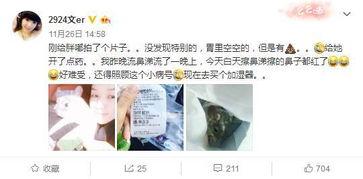 吃瓜中立,吃瓜群众视角下的热点事件深度解析