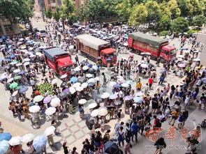 大型校园吃瓜,揭秘大型校园吃瓜盛况