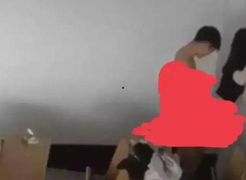 大学生爆料吃瓜,校园吃瓜事件，揭秘校园生活幕后真相