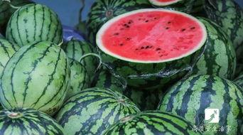 二次吃瓜,揭秘娱乐圈背后的真相与反转