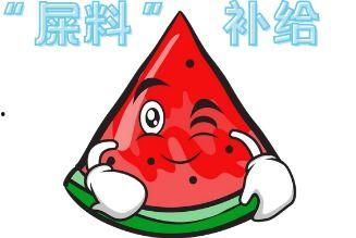 现场吃瓜啊,揭秘娱乐圈幕后真相