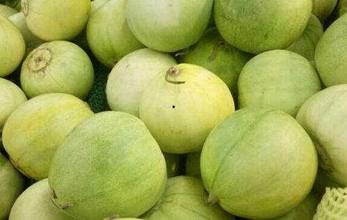 6个月可以吃小瓜吗,小瓜的适宜食用时间与营养益处